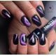 Gel Polish 231 Cat Eyes Rubin