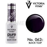 Pure Creamy 62 Black Tulip
