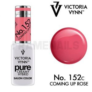 Pure Creamy 152 Coming Up Rose