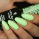 Gel Polish 145 Palm Tree