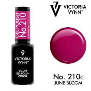 Gel Polish 210 June Bloom — Liss Cosmétique