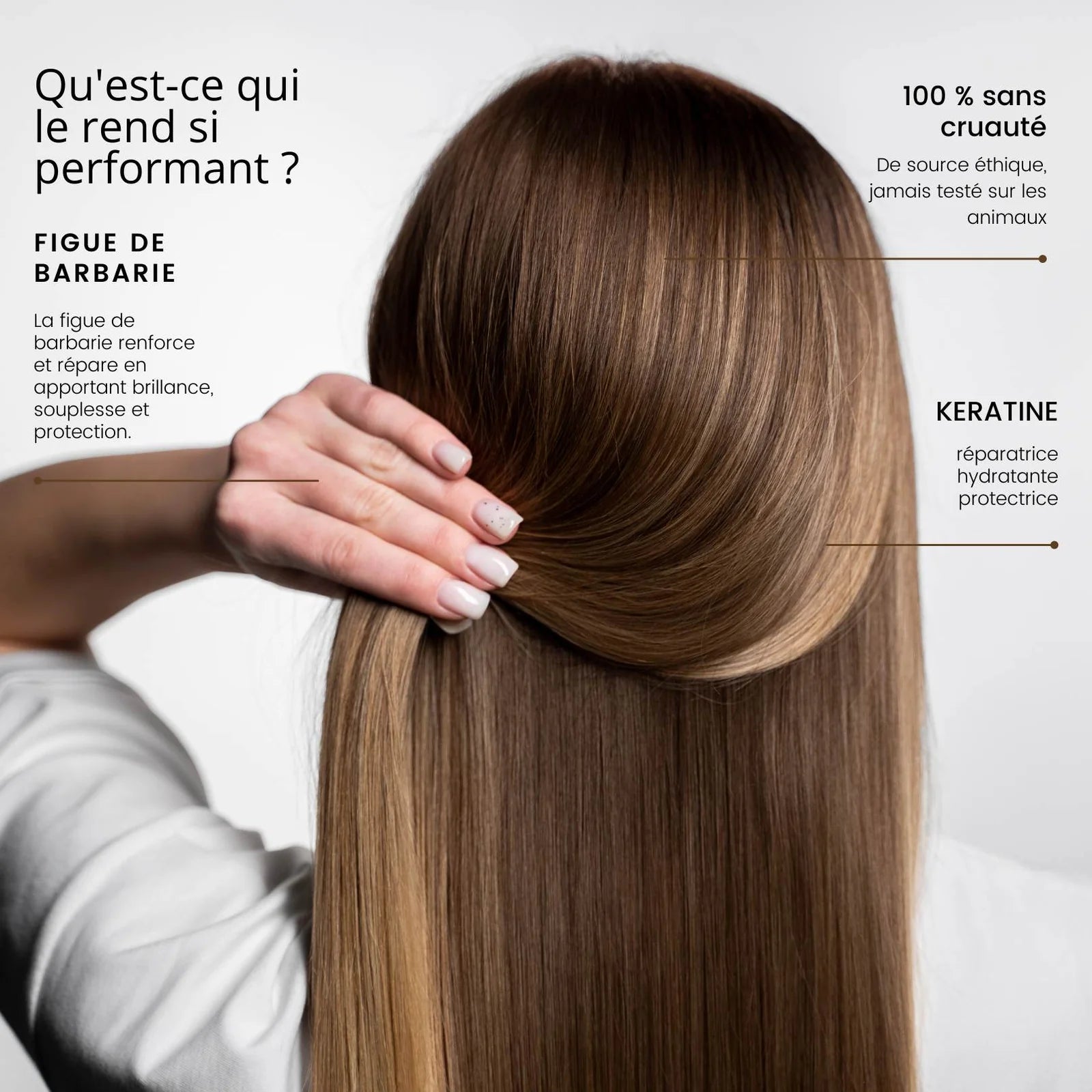 SHAMPOING ROSEBAIE SANS SULFATE LOT DE REVENTE