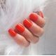 Pure Creamy 20 Coral Parrot — Liss Cosmétique