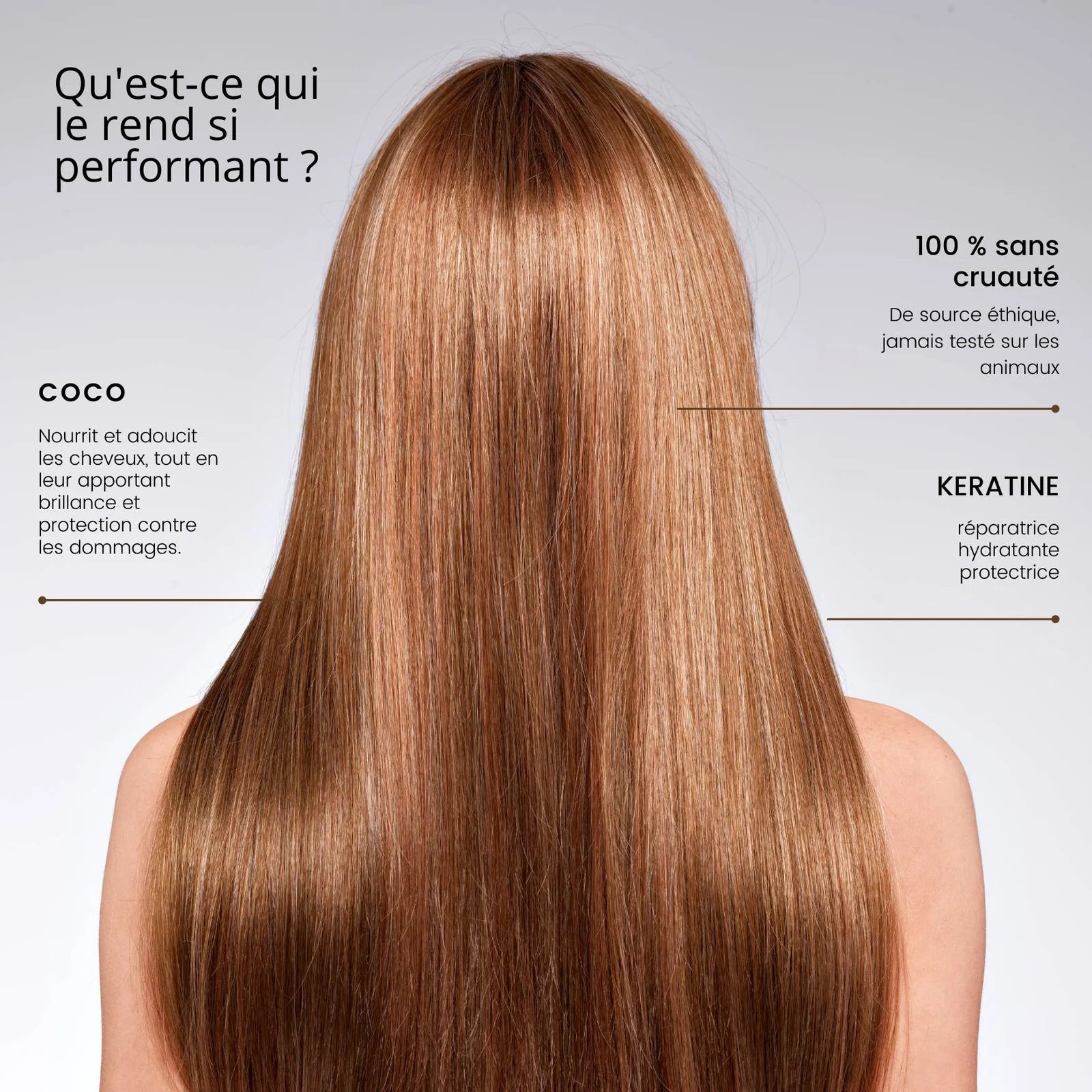 Rosebaie Coco X6 — Liss Cosmétique