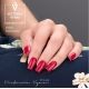 Gel Polish 161 Sweet Poetry — Liss Cosmétique
