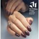 Gel Polish 168 Subtle Aubergine — Liss Cosmétique